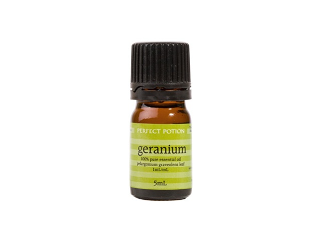 Geranium Pelargonium graveolens - Organic